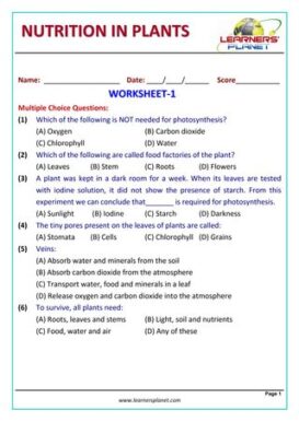 Grade-7-Science-Olympiad - Nutrition in Plants