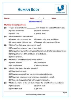 Grade-6-Science-OlympiadL: Human Body