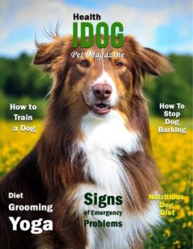 Idog - How to Train a Dog