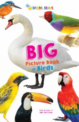 Big Picture Book