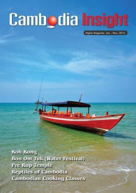 Cambodia Insight