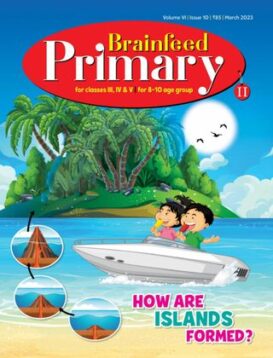 Brainfeed Primary II