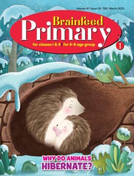 Brainfeed Primary I