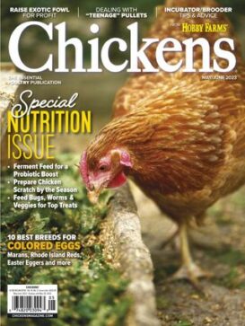 Chickens