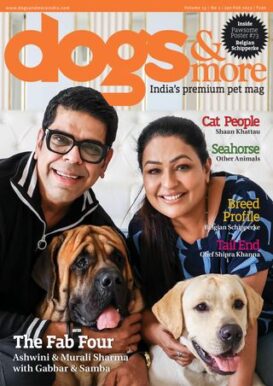 dogs & more