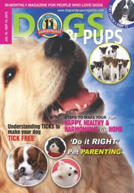 Dogs & Pups