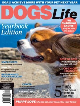 Dogs Life