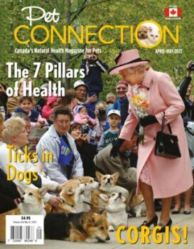Pet Connection