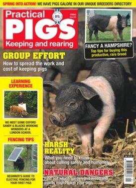 Practical Pigs