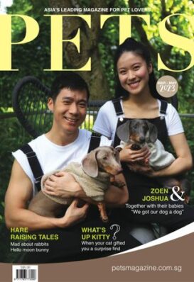 Pets Singapore