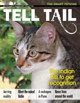Tell Tail