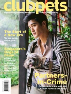 clubpets Magazine