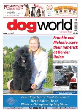 Dog World
