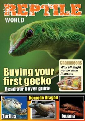 Reptile World