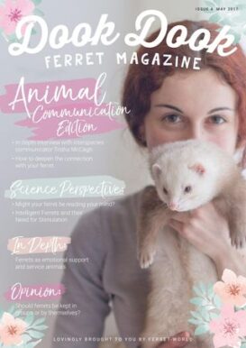 Dook Dook Ferret Magazine