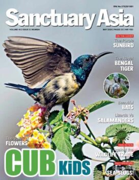 Sanctuary Asia