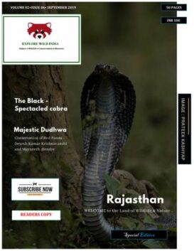 Explore Wild India