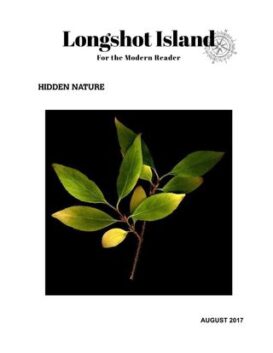 Longshot Island