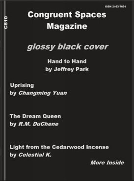 Congruent Spaces Magazine