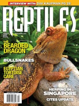 Reptiles Magazine