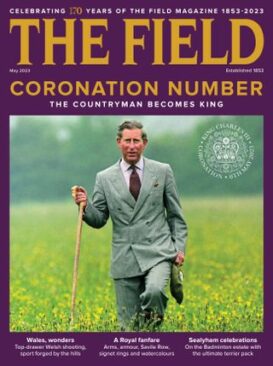 The Field