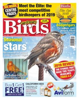 Cage & Aviary Birds