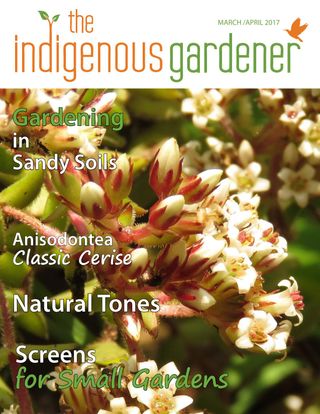 2-4368.jpg The Indigenous Gardener - Image 1