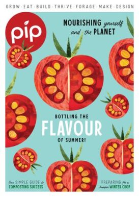 Pip Magazine