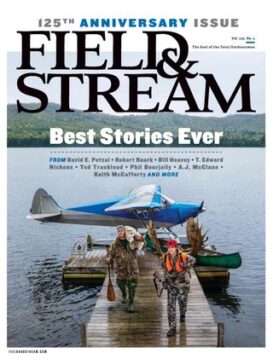 Field & Stream