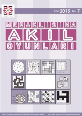 Meraklisina Akil Oyunlari