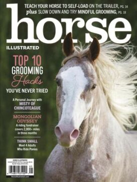 Horse Illustrated