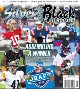 Silver & Black Illustrated