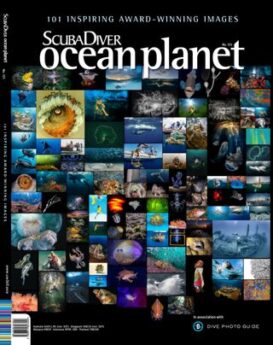 Scuba Diver International