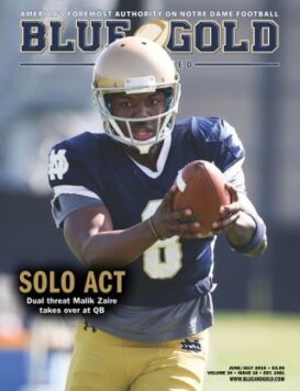 Blue & Gold Illustrated