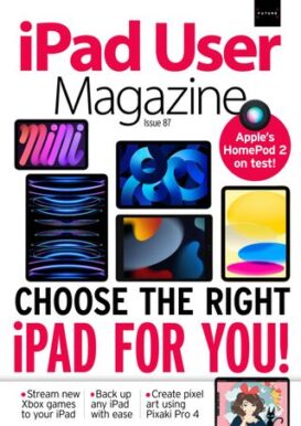 iPad User