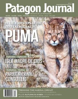 Patagon Journal