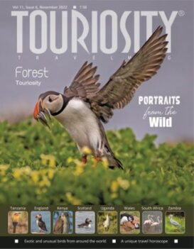 Touriosity Travelmag