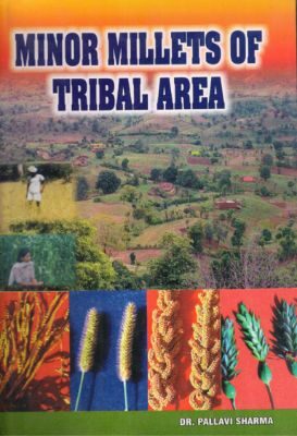 Minor Millets of Tribal Area