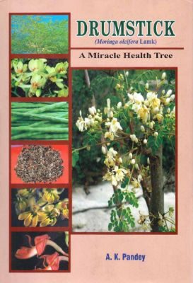 Drumstick (Moringa): A Miracle Health Tree