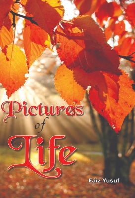 Pictures of Life by Faiz Yusuf