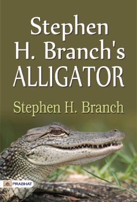Stephen H Branch's Alligator by Stephen H Branch
