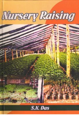 Nursery Raising