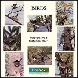 Birds, Vol. II, No 3, September 1897