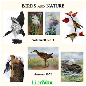 birdsandnature_jan1902.jpg Birds and Nature, Vol. XI, No 1, January 1902 - Image 1
