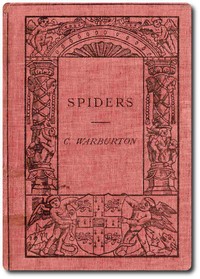 Spiders