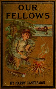 Our Fellows; Or, Skirmishes with the Swamp Dragoons
