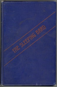 The Visions of the Sleeping Bard