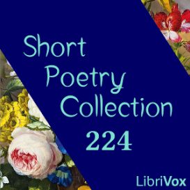 Short Poetry Collection 224