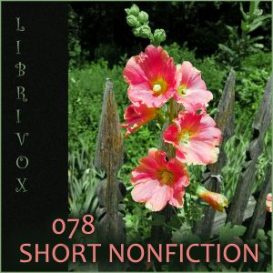 Short Nonfiction Collection, Vol. 078