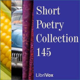 Short Poetry Collection 145